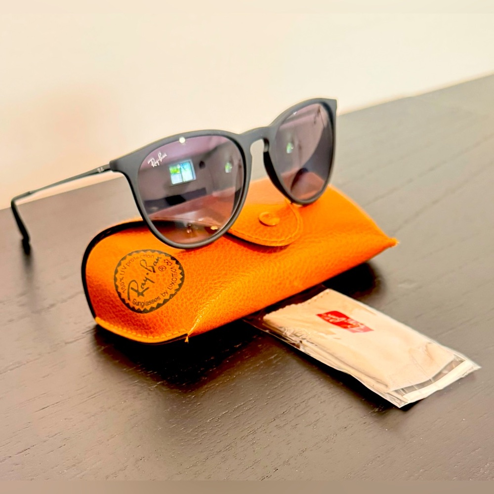 Ray-Ban Erika Sunglasses Black